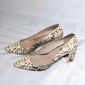 Snake Skin Pumps by DKNY Size 10